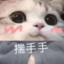 纯情小学生